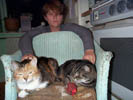 cats on chair and lesley.jpg